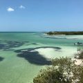 Una tarde en punta de cocos, donde podrás encontrar restaurantes y espacios amenos para disfrutar